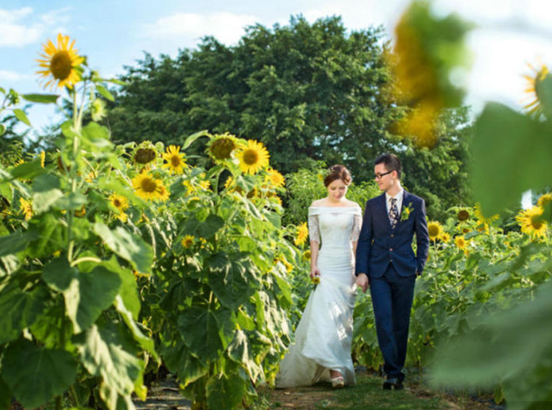 2025年1月結婚黃道吉日，1月結婚最佳日子