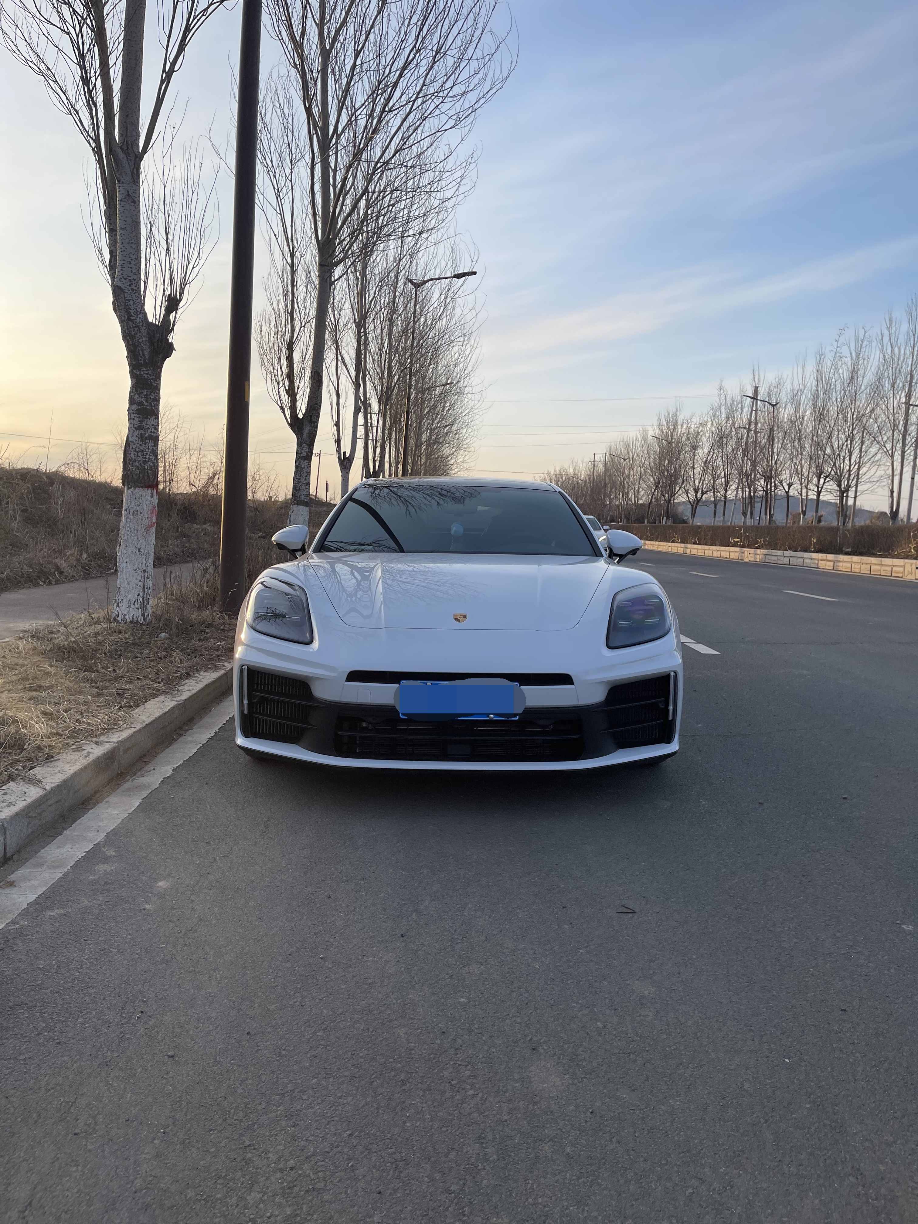 【保时捷】帕拉梅拉