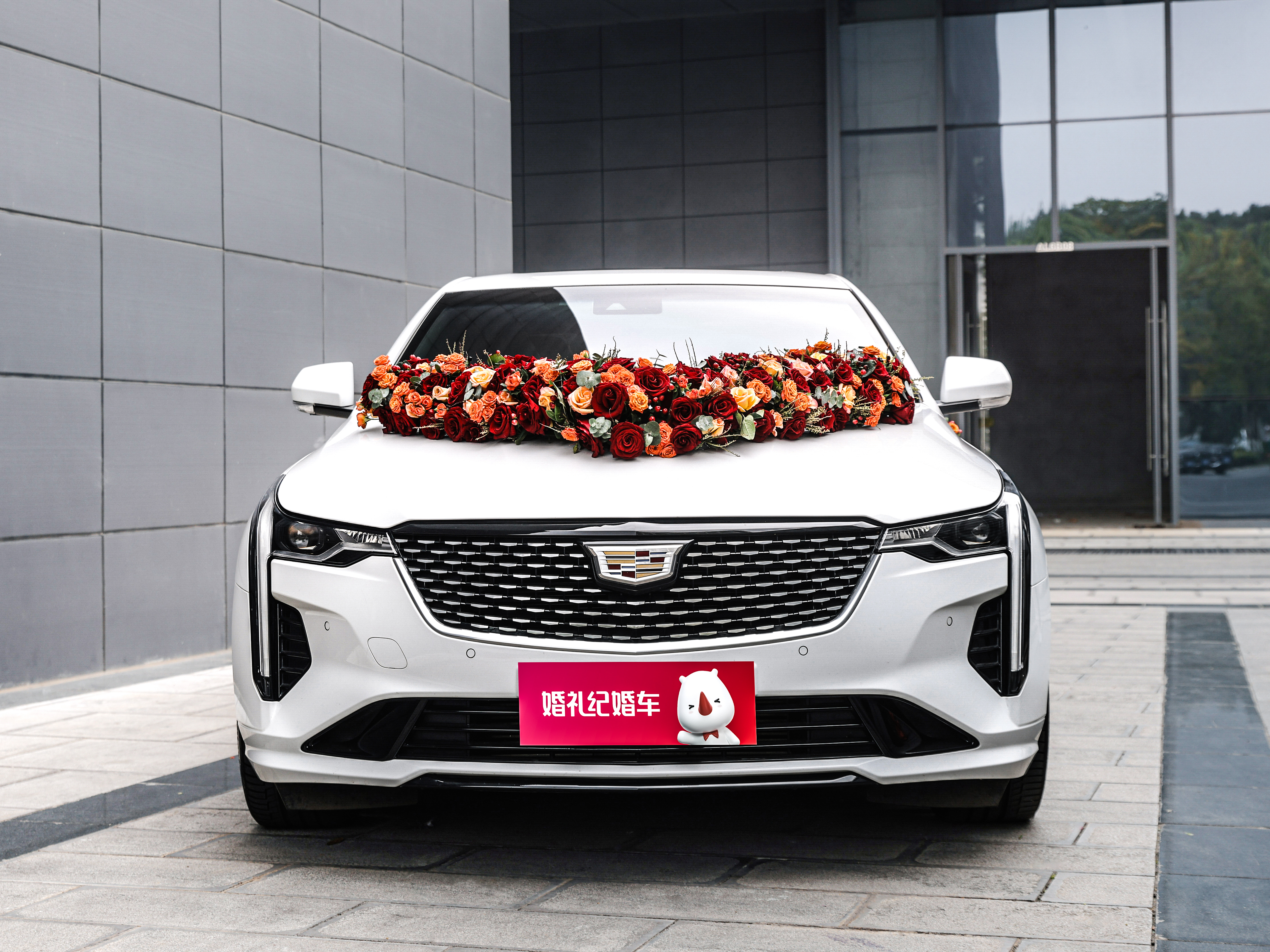 【凱迪拉克】CT6 + 【凱迪拉克】CT4*5輛