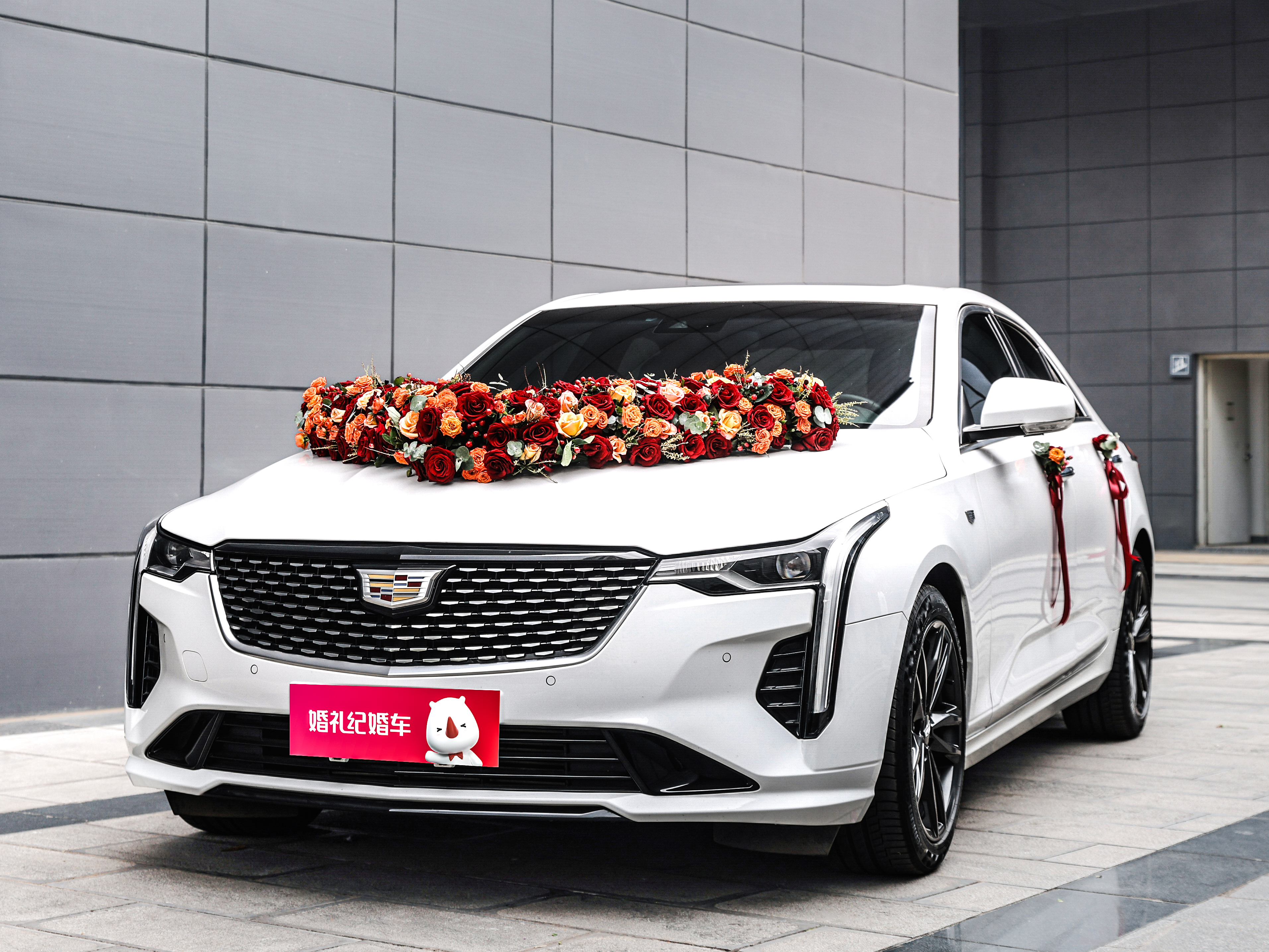 【凱迪拉克】CT6 + 【凱迪拉克】CT4*5輛