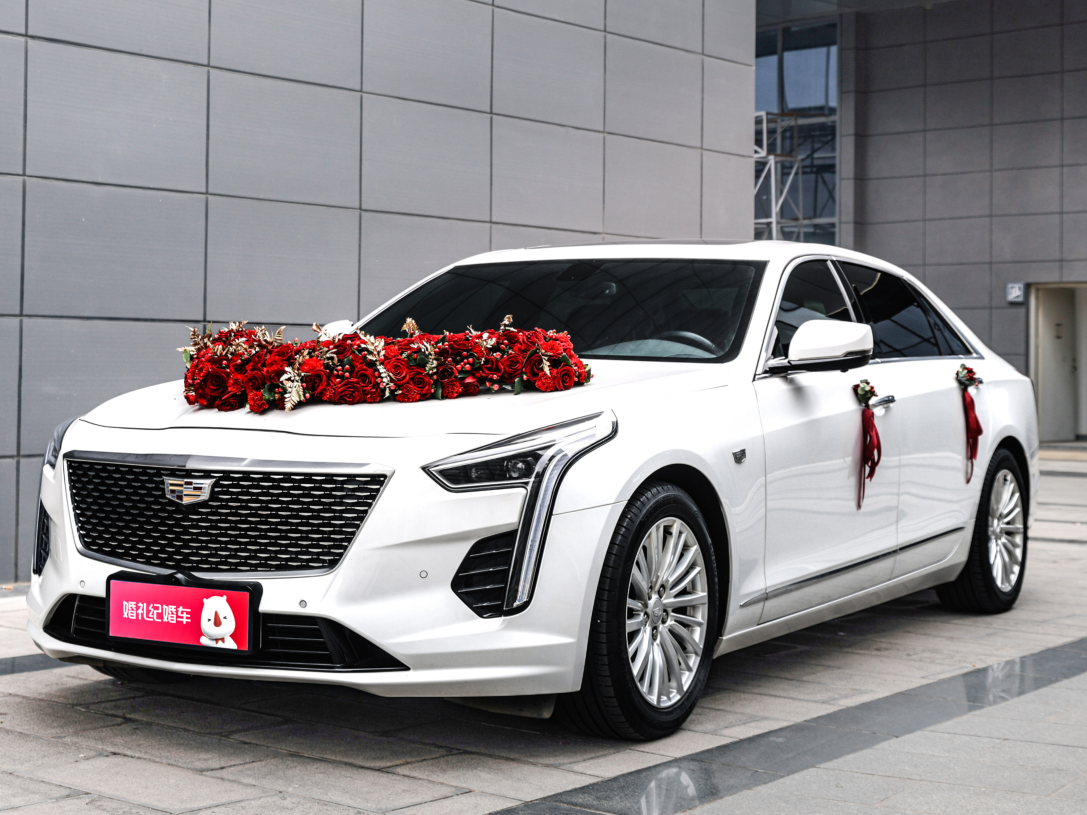 【凱迪拉克】CT6 + 【凱迪拉克】CT4*5輛