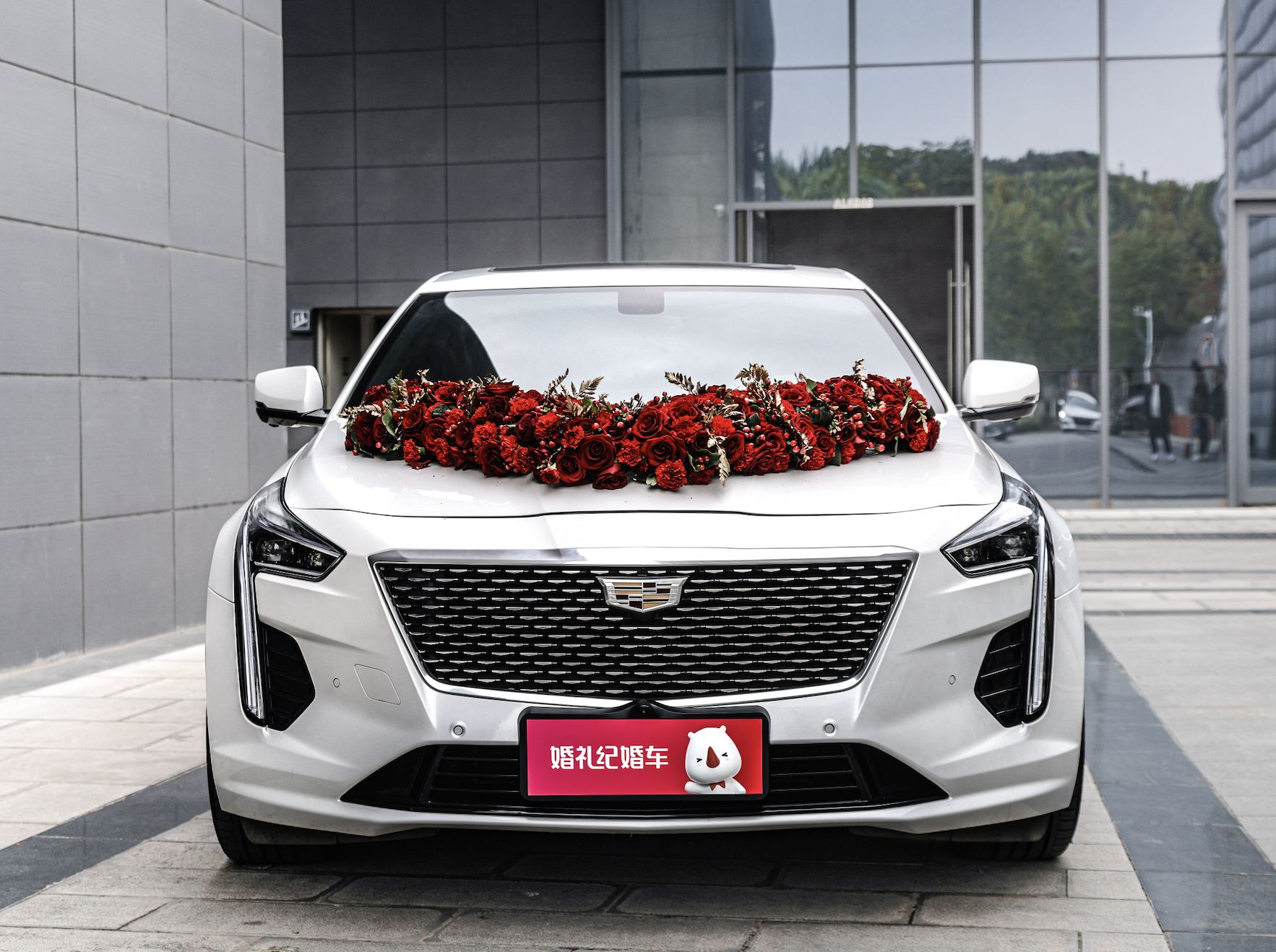 【凱迪拉克】CT6 + 【凱迪拉克】CT4*5輛