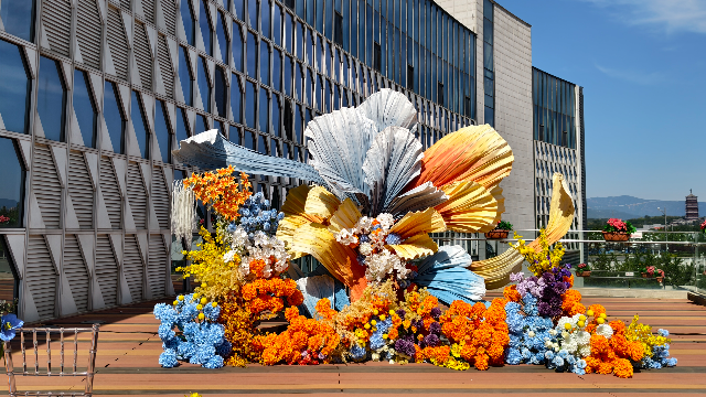 《喜欢会长大 爱情会开花》