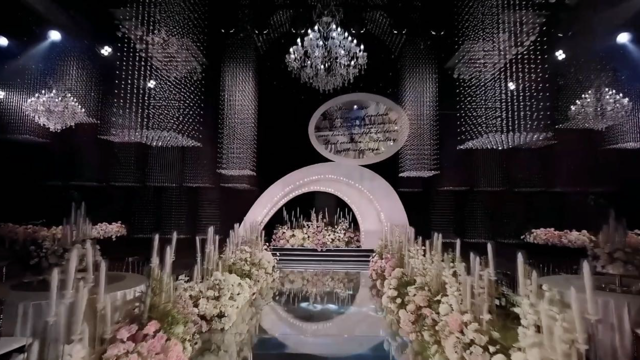 两只猫咪的故事