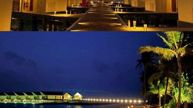 噜啦啦啦啦啦啦